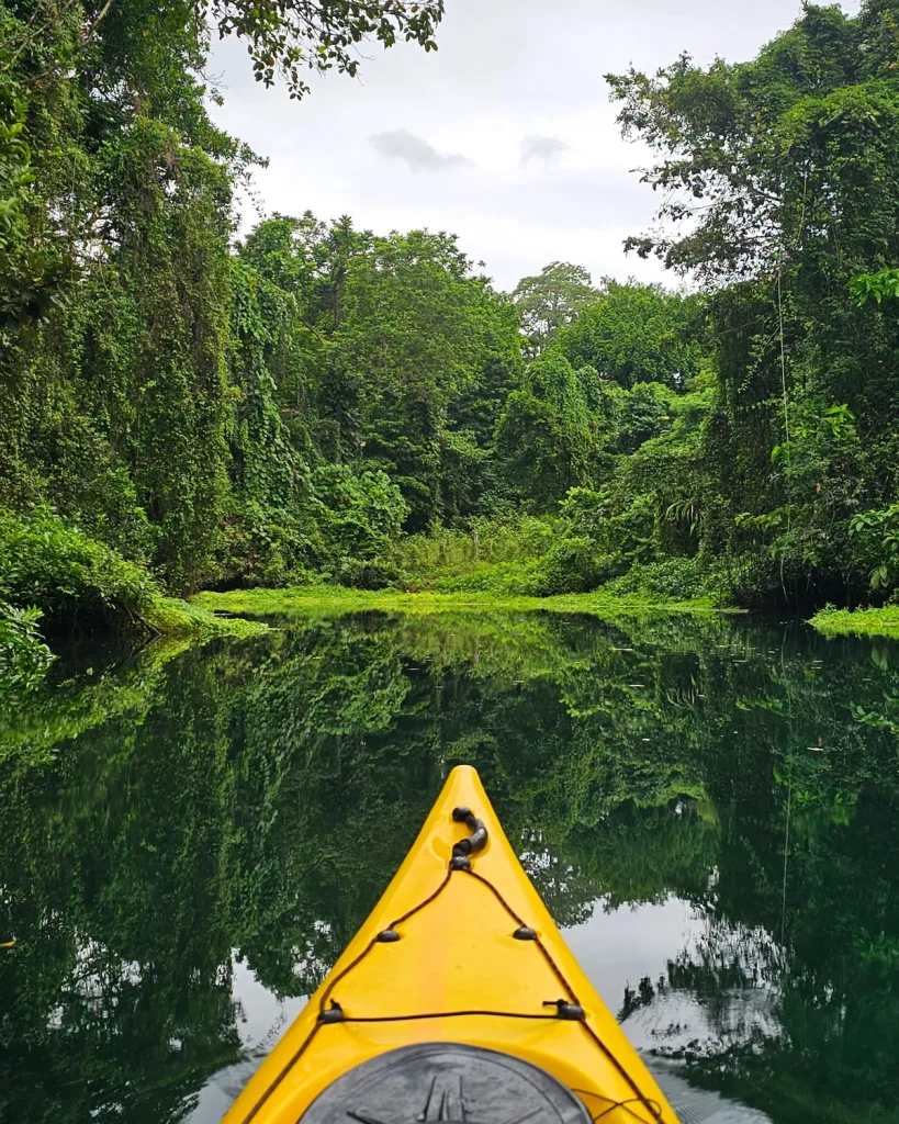 Kayaking the Matevulu blue hole near Turtle Bay Lodge